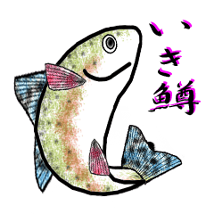 Rainbow trout Sticker