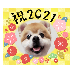 Kumatan New Year Sticker 2021