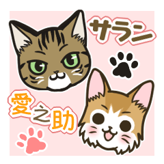 adorable cat sticker of Saran & Ainosuke