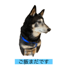 NOZOMI_20201203221349