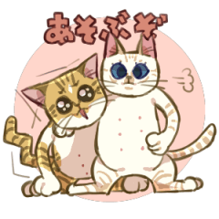 shimadacats