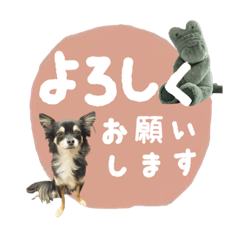 tanuki_20201204100034