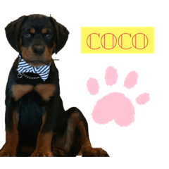 arisa_20201203202100