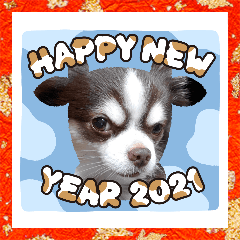 Sayuri_20201203201642