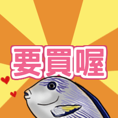 紅海騎士的日常