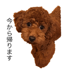 NOZOMI_20201203232503