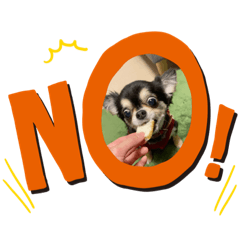 NOZOMI_20201203234544