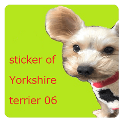 Sticker of a Yorkshire terrier6