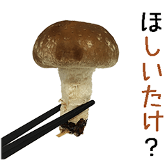 Shiitake.