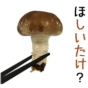 Shiitake.