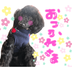 hiyori_20201204111418