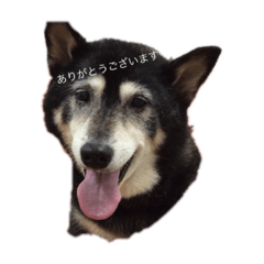 NOZOMI_20201204101307