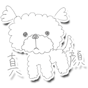 Cute Maltese.