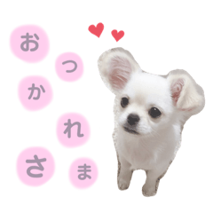 kaho_20201203211147