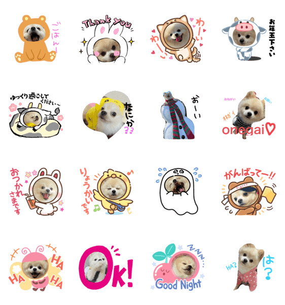 ポメラニアン ぴのんまん Lineクリエイターズスタンプ Stamplist