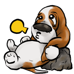 Basset hound 37(dog)