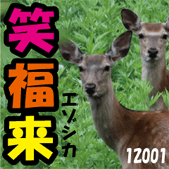 GoodDay-sticker@Ezo-deer02