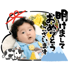 orange_20201204125032