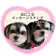 Hanikomu.sticker