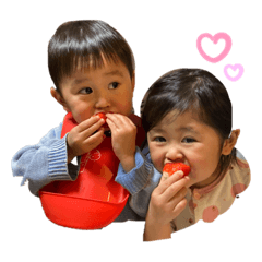 ARISA_20201204152452