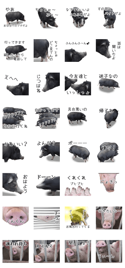 Negative pigs