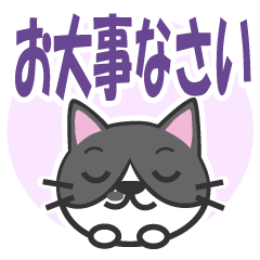 Gray tabby cat Gunma dialect