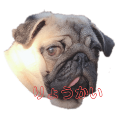 ayumi_20201204152320