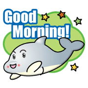 dolphin boy