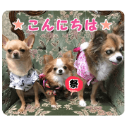 Uneven trio
