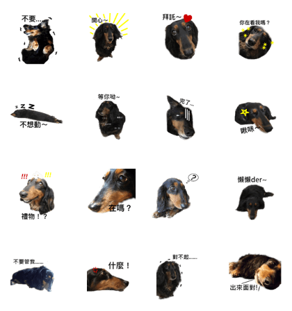 Black Dachshund "Pinky"