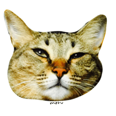 CATmarumaru