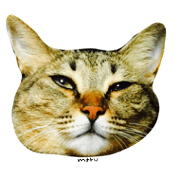 CATmarumaru