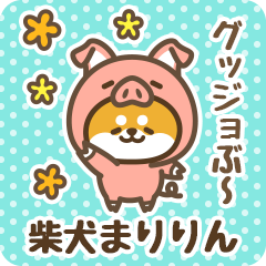 Petit Shiba Maririn (Joke Animal)