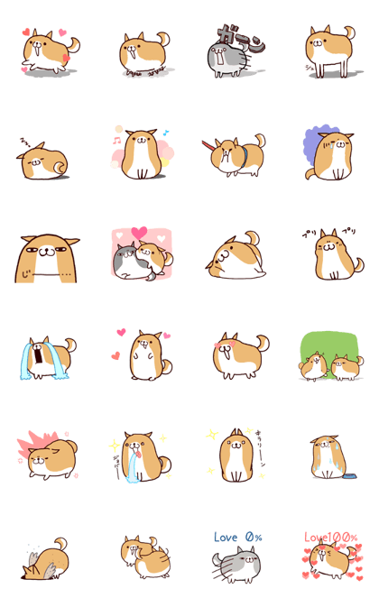 lazy shiba(move)