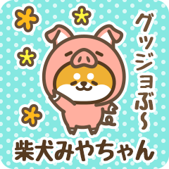 Petit Shiba Miyachan (Joke Animal)