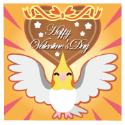 Valentine.Cockatiel with a cute cheek