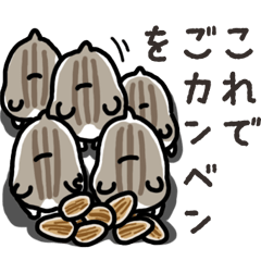 Yurutto-Hamster