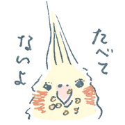 Funiochi the Cockatiel
