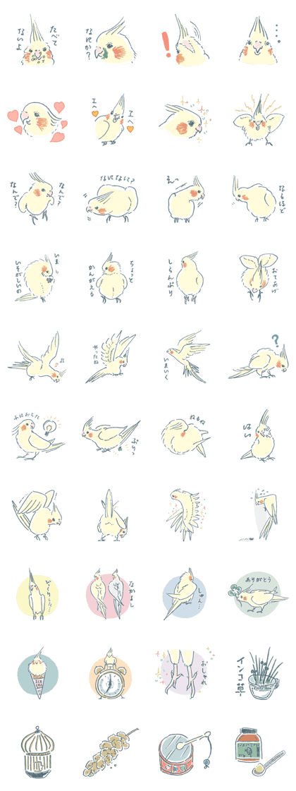 Funiochi the Cockatiel