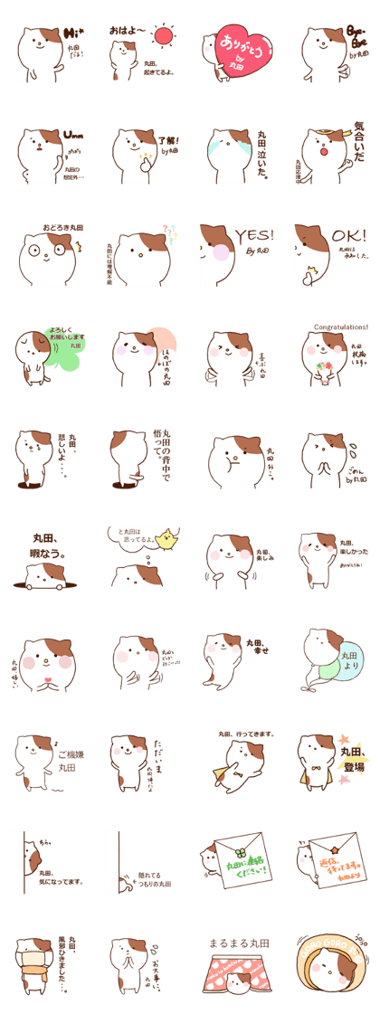 Maruta Cat