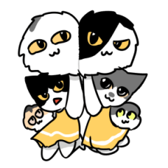 SHIRONASU cat