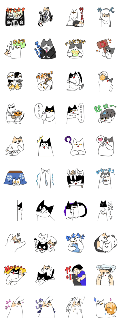 SHIRONASU cat