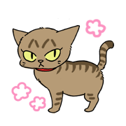 Tunako Cat
