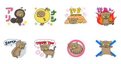 Tunako Cat