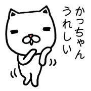 Kachan cat