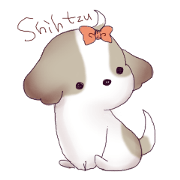 love Shih Tzu