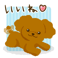 Toy Poodle Dog Breed Line 스티커 Line Store