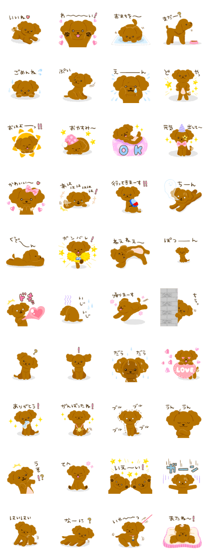 Toy poodle<Dog breed >