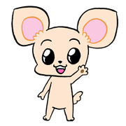 Chihuahua(Color: Cream)<Dog breed >