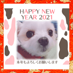 Aoi_20201205072040